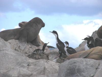 Tierra del Fuego