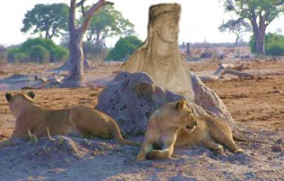 P1010494xCibele.jpg