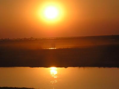 Chobe river