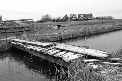 marken landscape