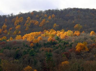 Late October 3
