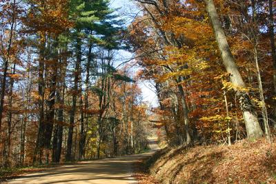 Country Road