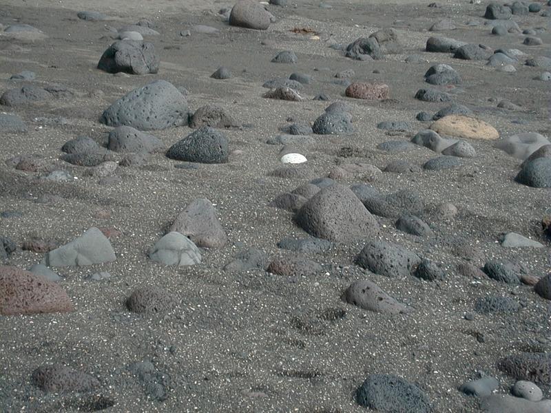 Image12.jpg