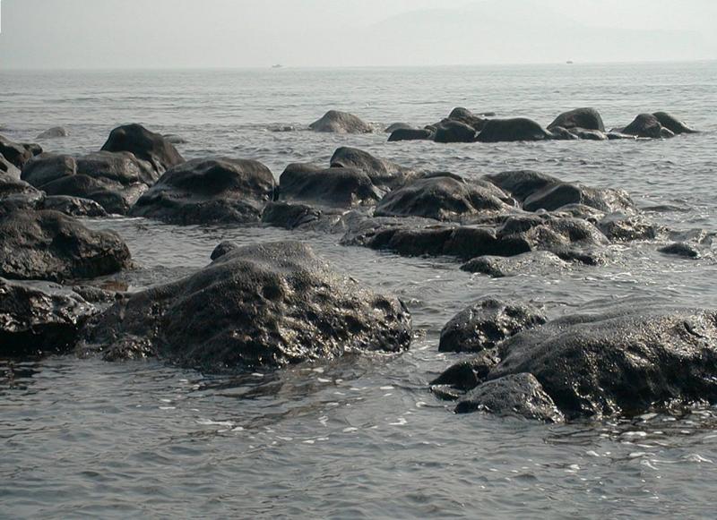 Image13.jpg