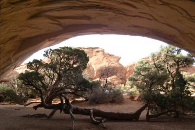 Navajo Arch
