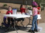 The Lemonade Stand #2