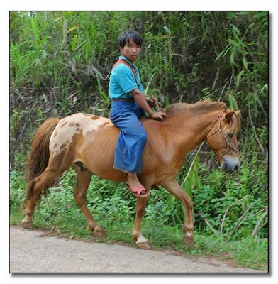 Silver Palaung Boy on pony