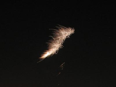 2003_12_31 016bearb01.jpg