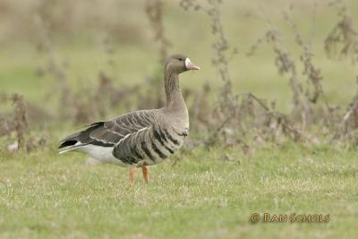 C10D_04054.jpg
