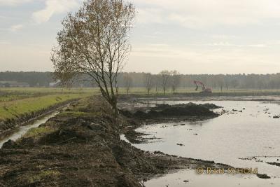 u38/ranschols/medium/25188107.RoodeBeekC10D_03581.jpg