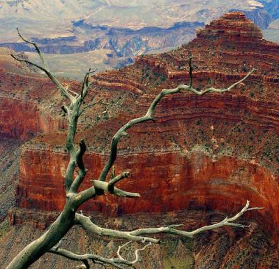 Red Canyon Walls