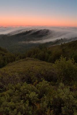 Mount Tam1.jpg