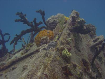 Wreck of the Miami-Rita