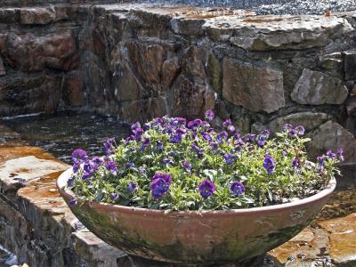Flower bowl