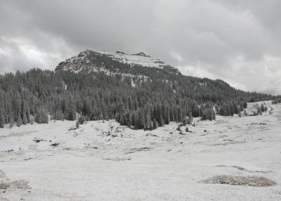 Togwotee Pass in Snow