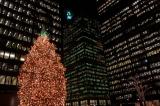 Toronto towers and Christmas tree.jpg