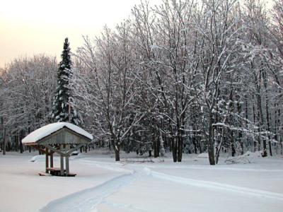 WinterScene9998.jpg