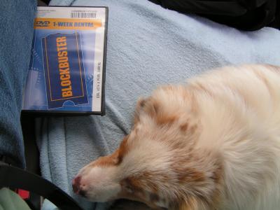 u38/rhaz/medium/40254551.movie.return.jpg