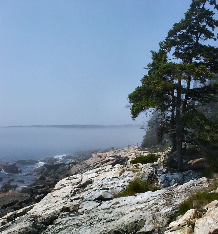 Misty shore
