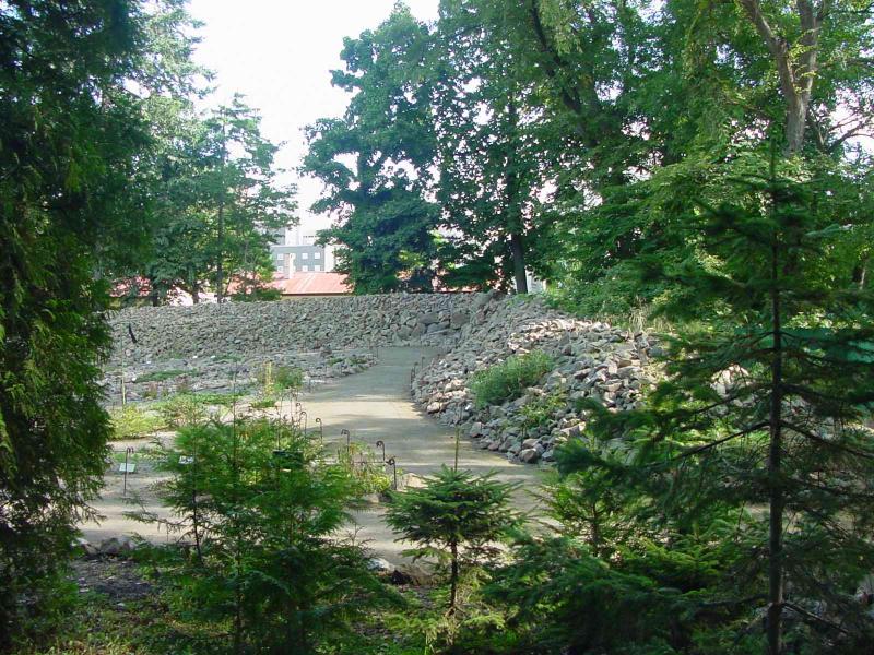 Hokkaido University Botanical Gardens in Sapporo