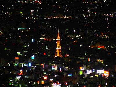 Sapporo at night