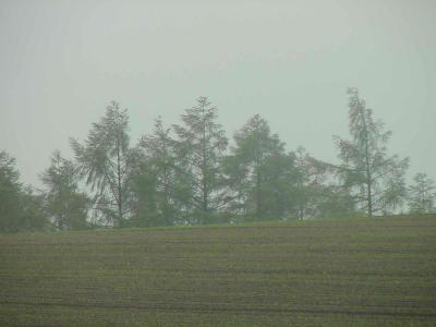 u38/richardfarmer/medium/24956854.Biei056.jpg