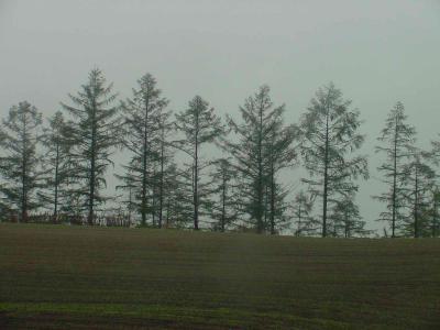 u38/richardfarmer/medium/24956855.Biei057.jpg