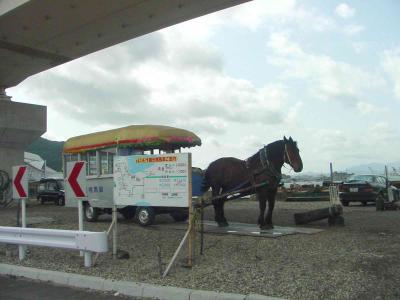 Hakodate Harbour, horse ride?