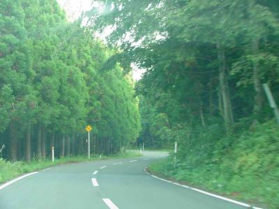 Road near Towadako
