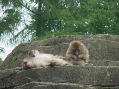 Morioka Zoo