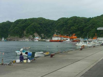 Taro fishing port (田老町)