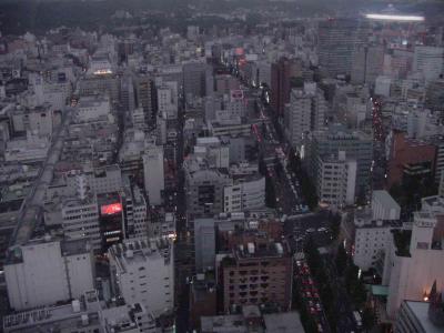 Sendai-city view 31st Floor