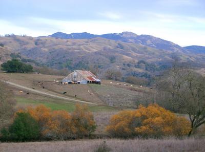 Rusty Barn in Halls Valley