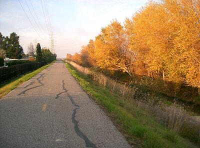 Levee to Shoreline