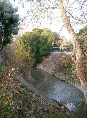 Bridge Overlook