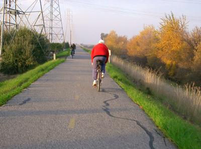 Levee to Shoreline
