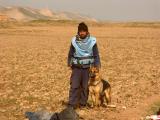 UXO demining both man and dog at work