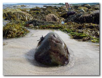 Hubbard's Beach, NS