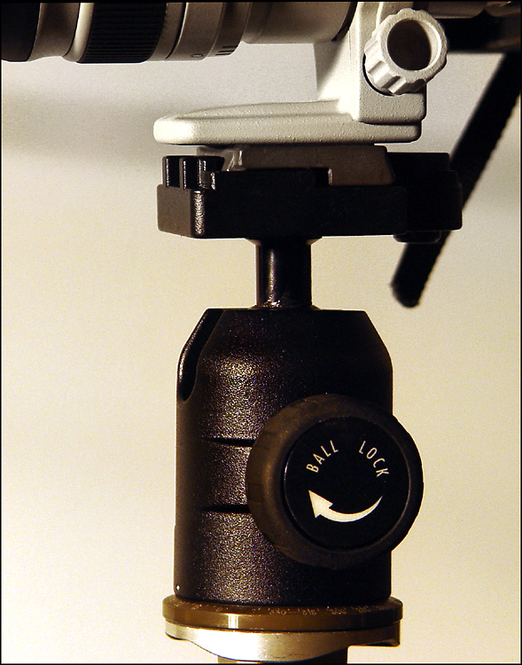 Bogen 488RC2 Midi Ball Head
