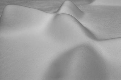 Snow Blanket 4353.jpg