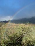 Deep rainbow near Tejeda