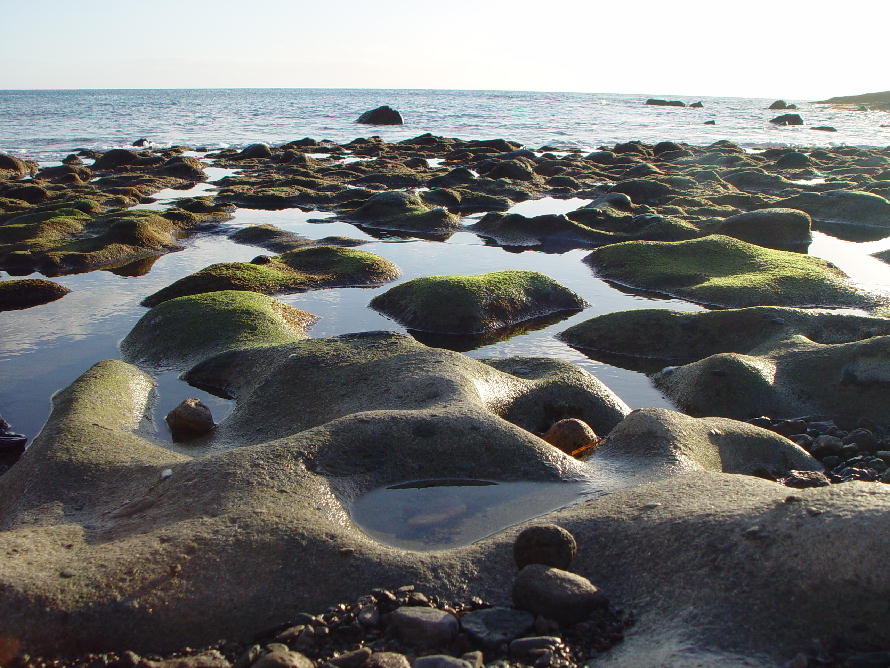 Stonesteps at sea
