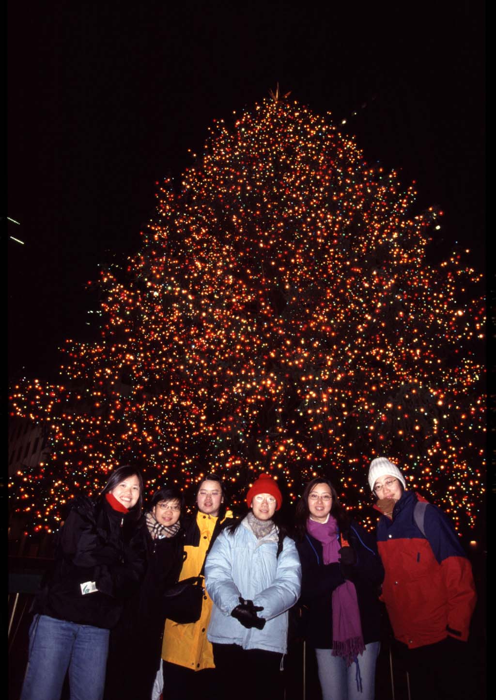 rockefellatree04_small.jpg