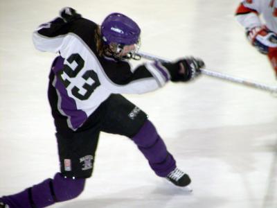 NHSS JVs vs Pinkerton