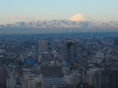 Outside the hotel: mountain Fuji