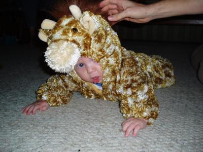 Sawyer in his Giraffe costume