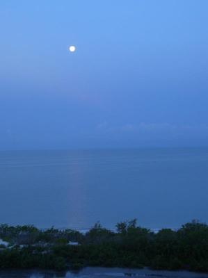 u38/rych26/medium/31830978.P7030075_edited.jpg