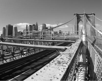 u38/samiamm9/medium/40275816.BrooklynBridge3.jpg