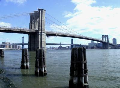 u38/samiamm9/medium/40275818.BrooklynBridge4.jpg