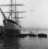 WAVERTREE, high on her lines.